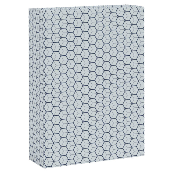 ASTUCCIO - immagine 2