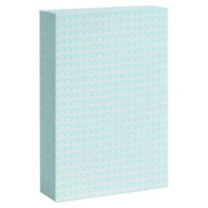 ASTUCCIO