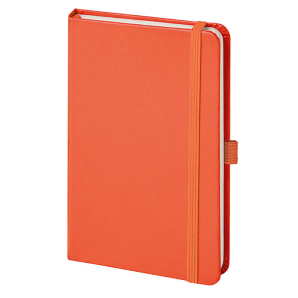 NOTES PEN - immagine 3