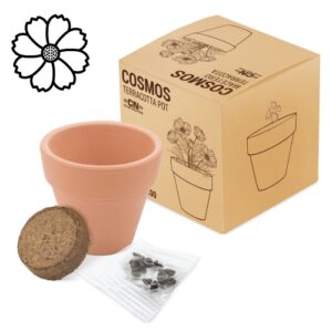 VASO TERRACOTTA CON SEMI DI COSMEA "FLORAL"