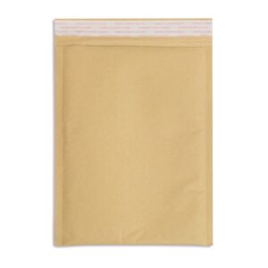 BUSTA KRAFT IMBOTTITA 20X29 CM