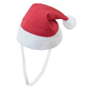 CAPPELLO NATALIZIO MASCOTTE "PIPO"