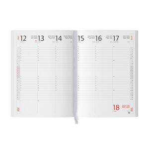 AGENDA SETTIMANALE