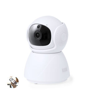 Telecamera Inteligente