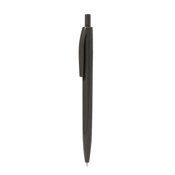 Penna a Sfera