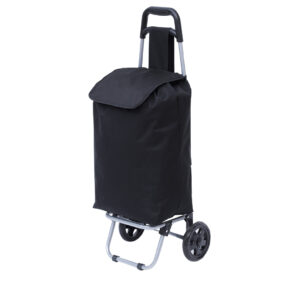 Carrello della Spesa
