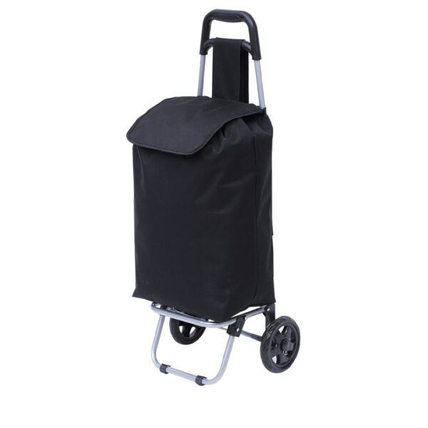 Carrello della Spesa