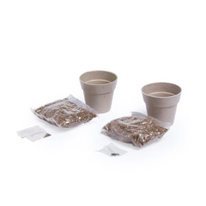 Set Vaso