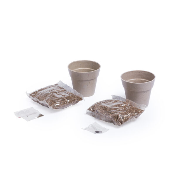 Set Vaso