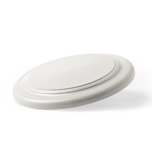Frisbee