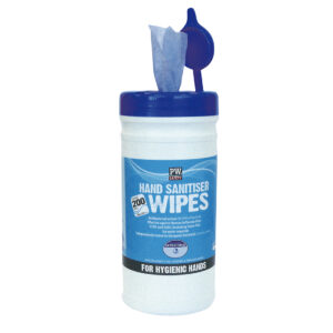 Salviette disinfettanti per mani (200)