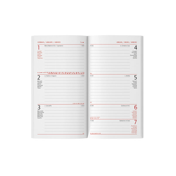 AGENDA SETTIMANALE