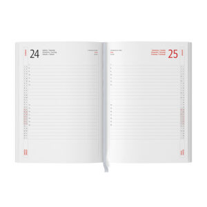 AGENDA GIORNALIERA