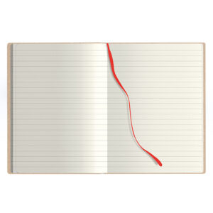 NOTES KRAFT BIG