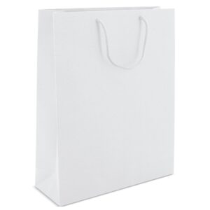 <p>BORSA DI CARTONE MANICI LOOPSE