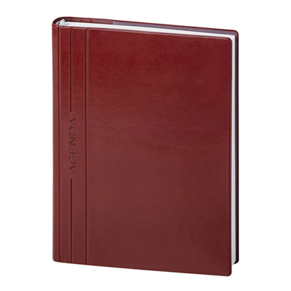 AGENDA GIORNALIERA CLASSIC - immagine 2