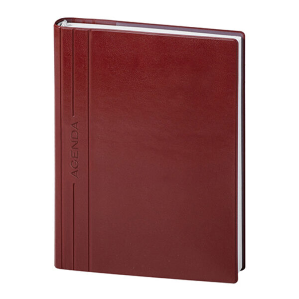 AGENDA GIORNALIERA CLASSIC - immagine 2