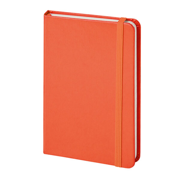 NOTES COLOR - immagine 2