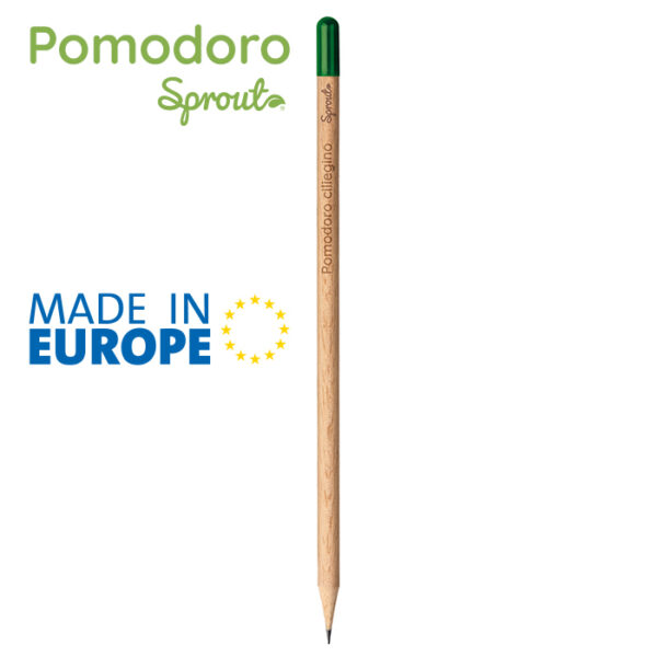 POMODORO - immagine 2