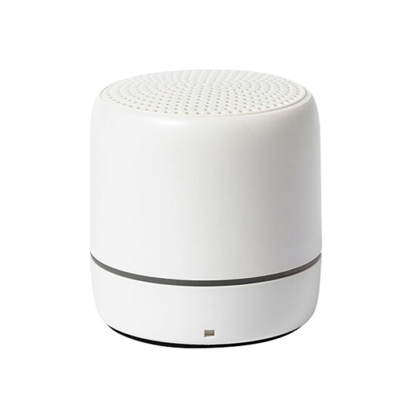RABS SPEAKER - immagine 2