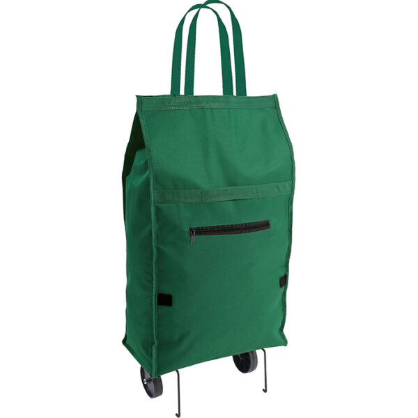 CARRY - immagine 4