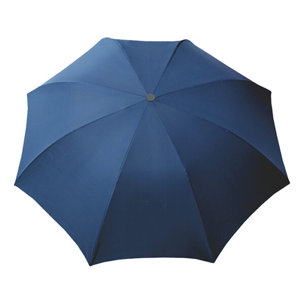 DAMP - immagine 3