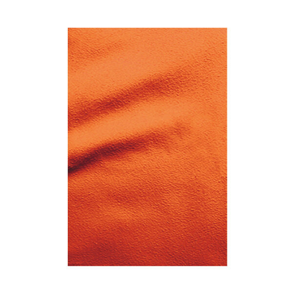 BIG SWIMMY - immagine 2