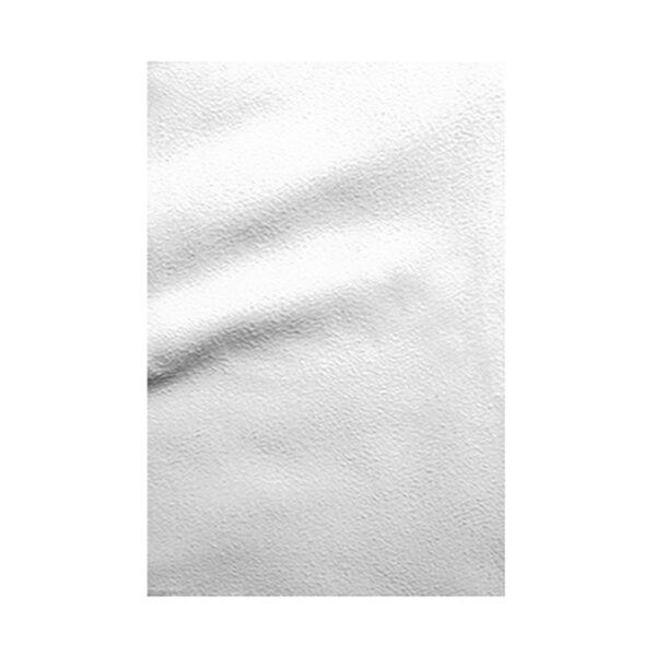 BIG SWIMMY - immagine 3