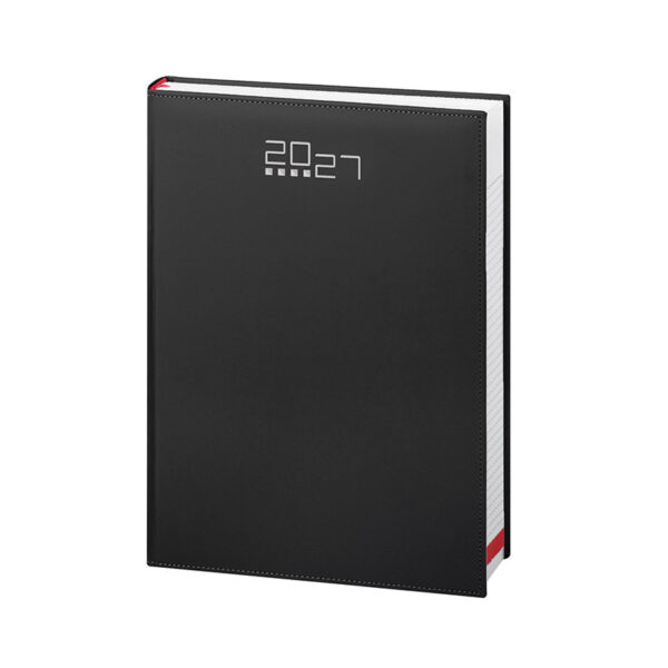 AGENDA GIORNALIERA MAXI