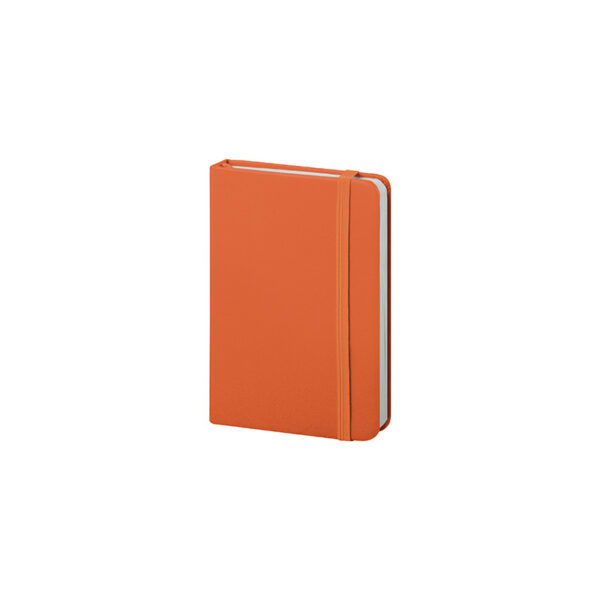 MINI PU NOTES
